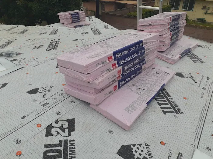 Semilla De Mostaza Roofing Picture 10