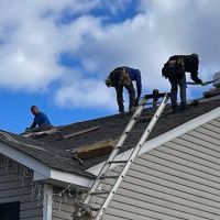 Busy Bee Roofing ico