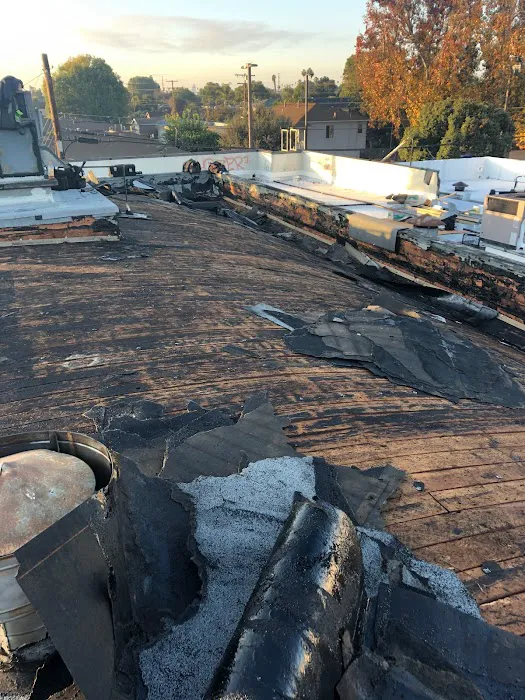 Freedom Roofing Company Picture 6