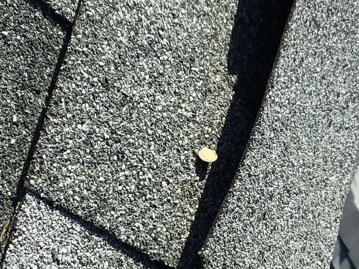 RC Roofing Company Picture 5