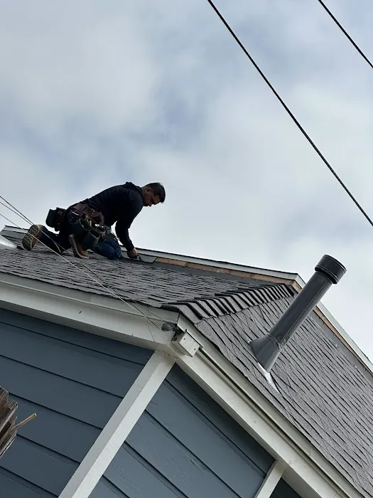 Dena Roofing Pros Inc Picture 1