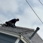 Dena Roofing Pros Inc