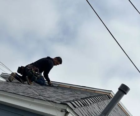Dena Roofing Pros Inc