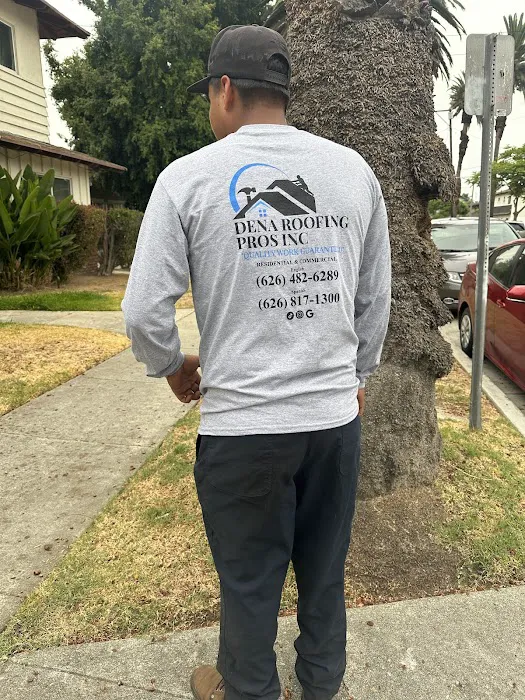 Dena Roofing Pros Inc Picture 2