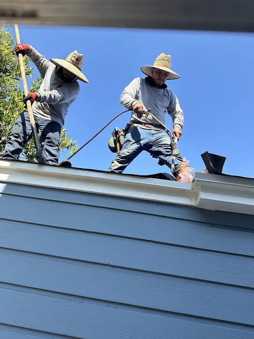 Dena Roofing Pros Inc Picture 4
