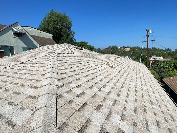 Roof Repair Specialist Picture 4