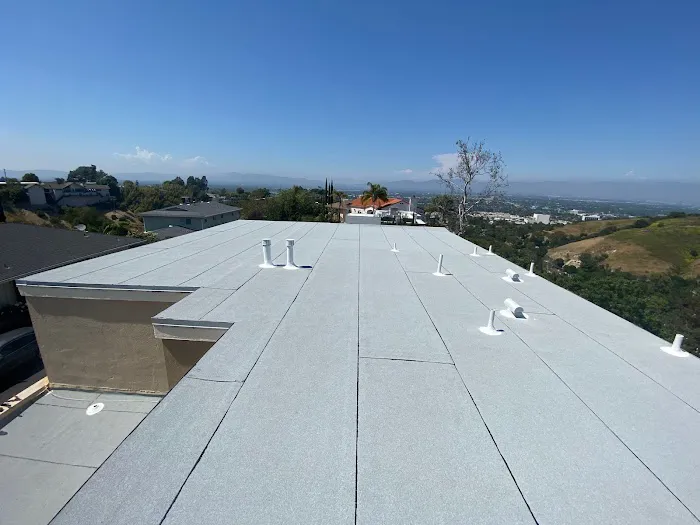 Roof Repair Specialist Picture 5