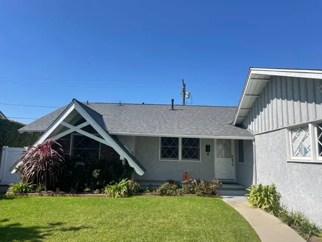 Roof Buddy Picture 1