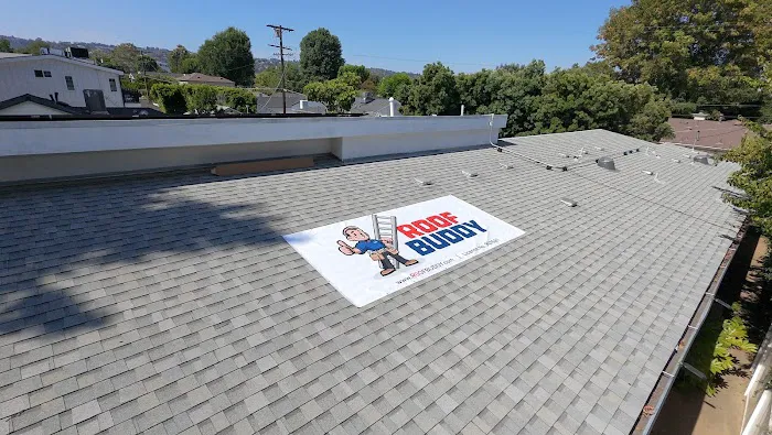 Roof Buddy Picture 4