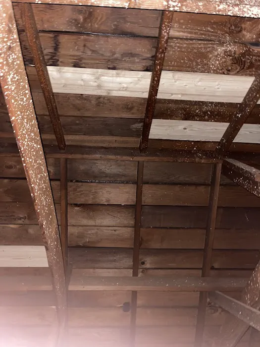 Roof Buddy Picture 8