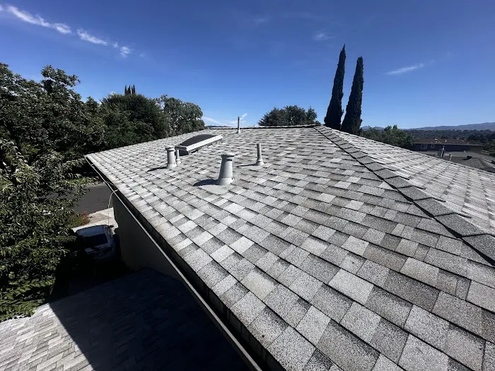 Roof Buddy Picture 9