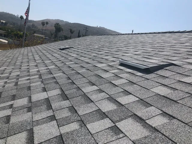 Roof Buddy Picture 10