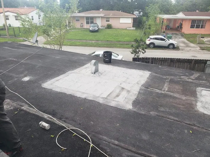 Dome Roof Repair Culver City Picture 1