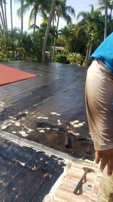 Dome Roof Repair Culver City Picture 2