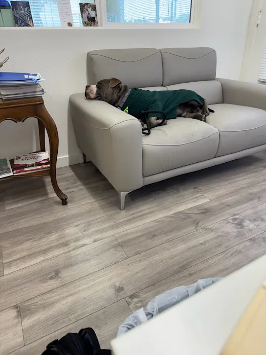 Avalon Roofing, Inc. Picture 2