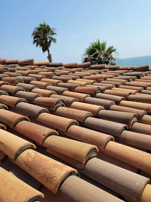 The Roof Doctor Picture 3