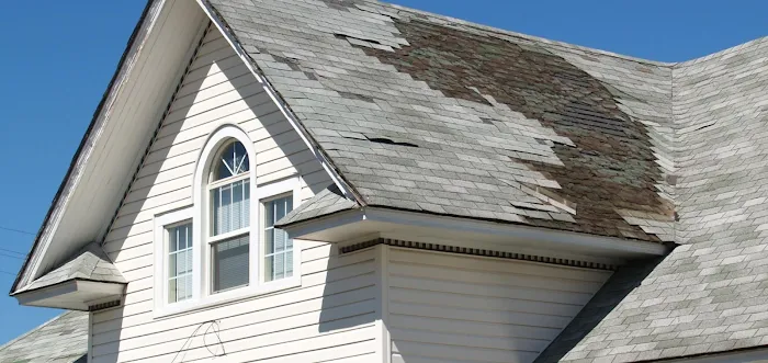 Eave Guard Roofing Experts Picture 6