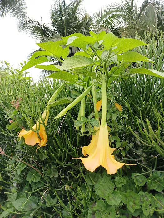 Patriot Roofing Picture 1