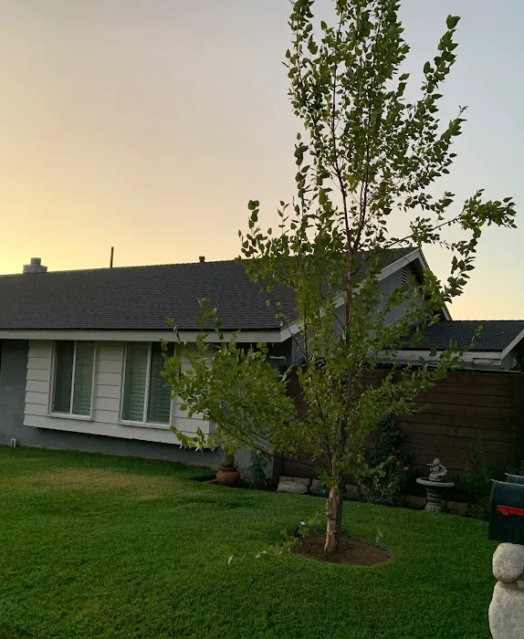 Alpha & Omega Roofing Picture 4