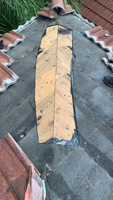 Northamerican Roof Repair - Temple City Picture 1