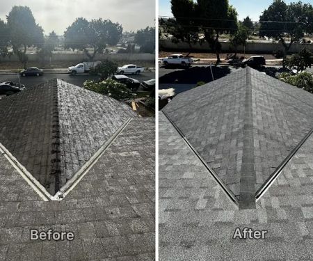 Modern Builders Roofing Stucco Drywall Paint Contractor