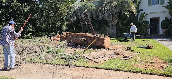 Miguel Multiservices Picture 1