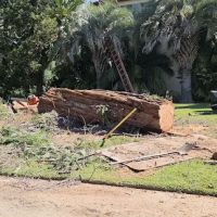 Miguel Multiservices ico