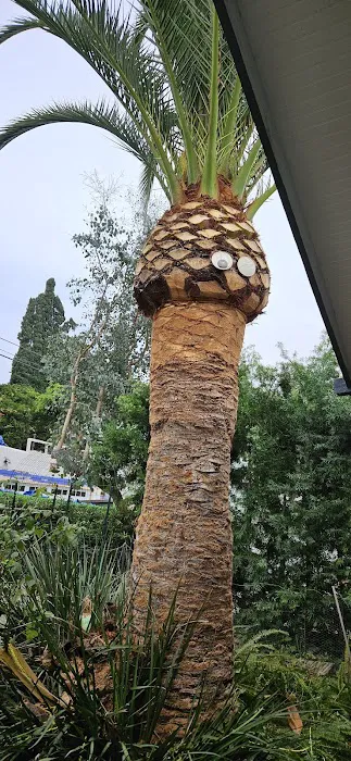 Miguel Multiservices Picture 2