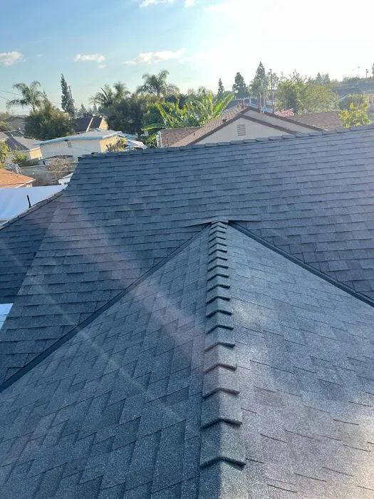 The Roof Whisperer Picture 1