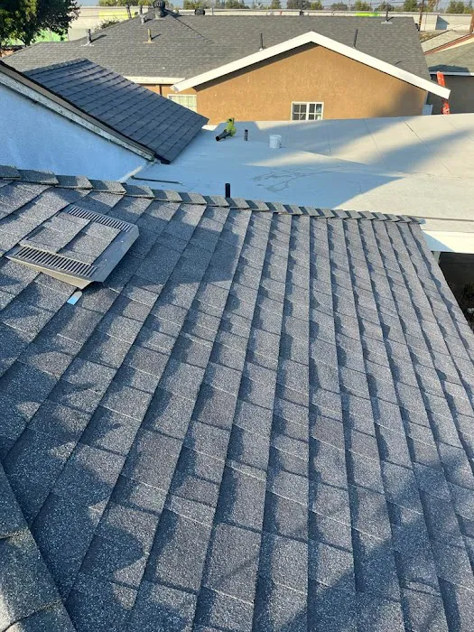 The Roof Whisperer Picture 2