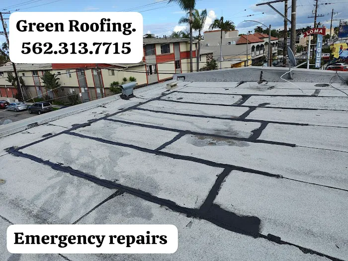 GREEN ROOFING Picture 1