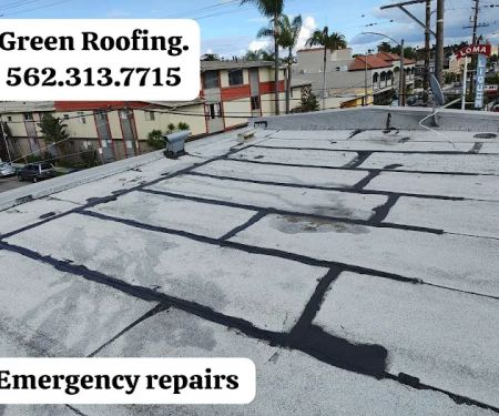GREEN ROOFING