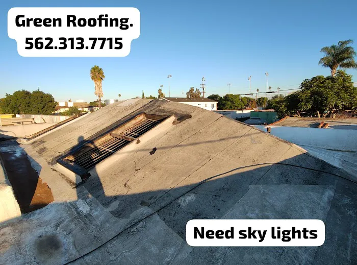 GREEN ROOFING Picture 3