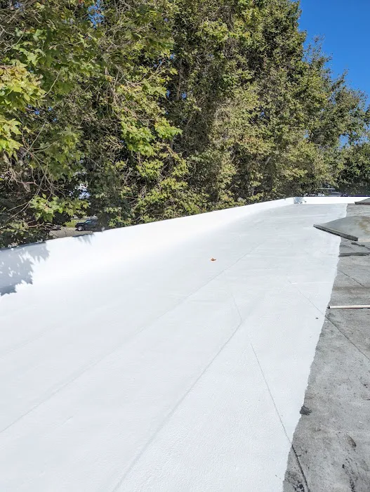 GREEN ROOFING Picture 4