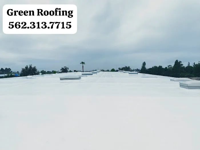 GREEN ROOFING Picture 5