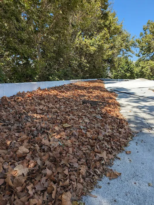 GREEN ROOFING Picture 7