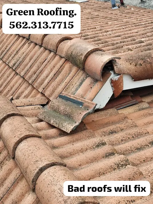 GREEN ROOFING Picture 8