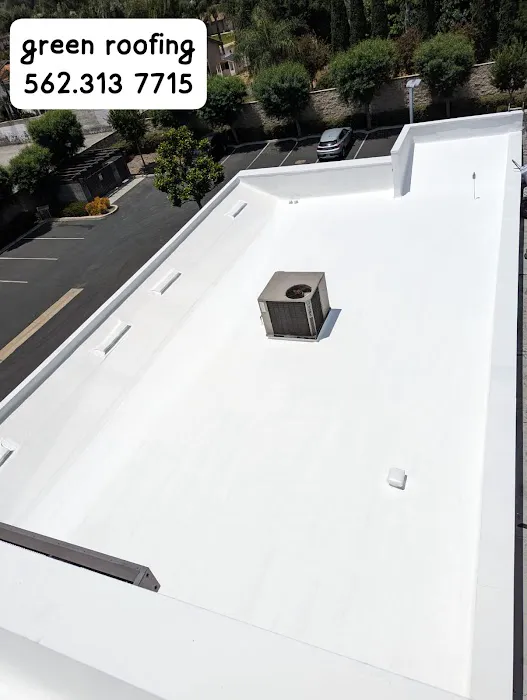 GREEN ROOFING Picture 9