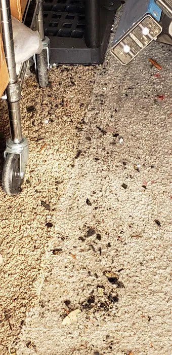 Ichi Ban Roofing Picture 9