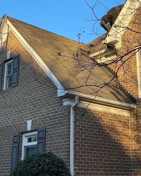 Ace Roofing Picture 4