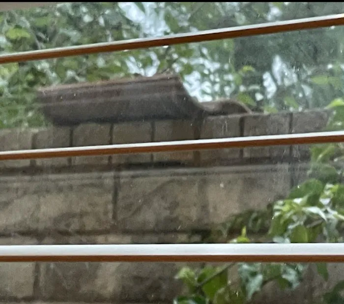 Gio Roofing Picture 9