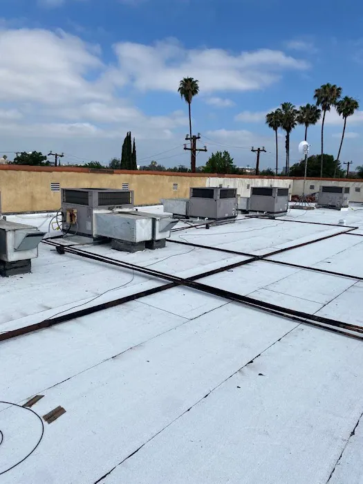 Essential Builders Picture 4