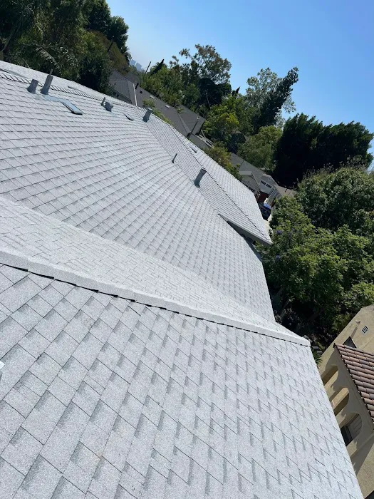 Rafael And Iris Roofing Picture 4