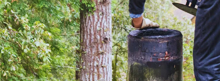 Quick Fix Roof & Gutter Picture 2
