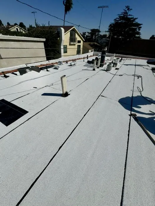 Economy Roofing Picture 3