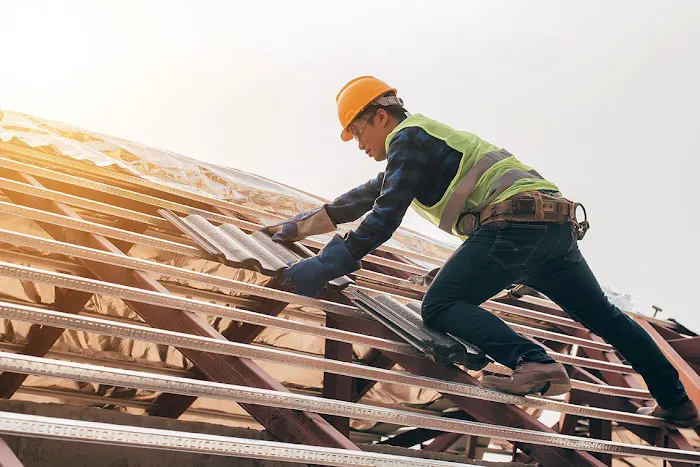 The Roof Sharks Picture 8