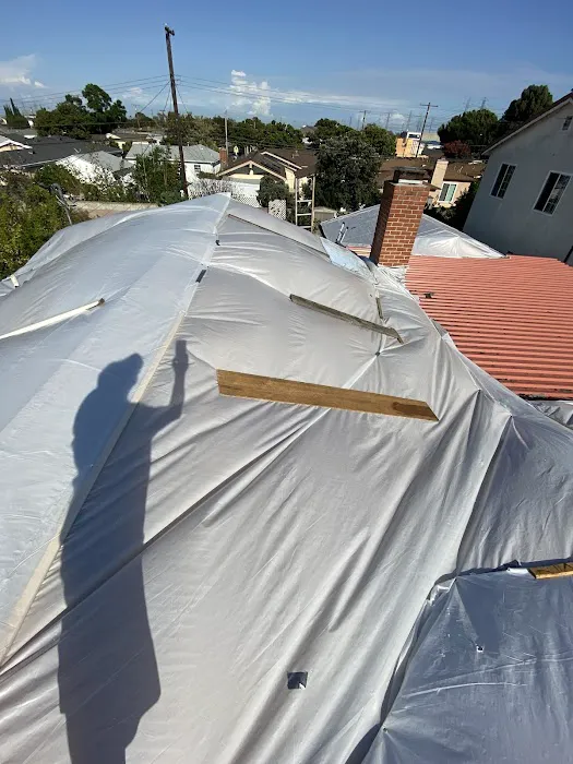 GreenLiving Picture 2