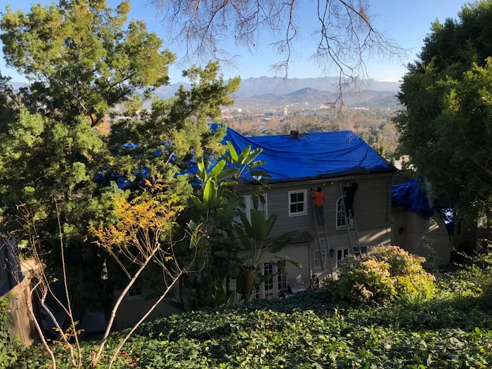 GreenLiving Picture 10