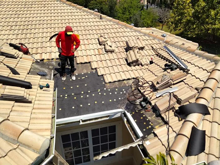 Dome Roof Installation Signal Hill Picture 3