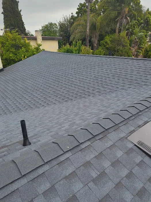 Next Door Roofing Picture 7